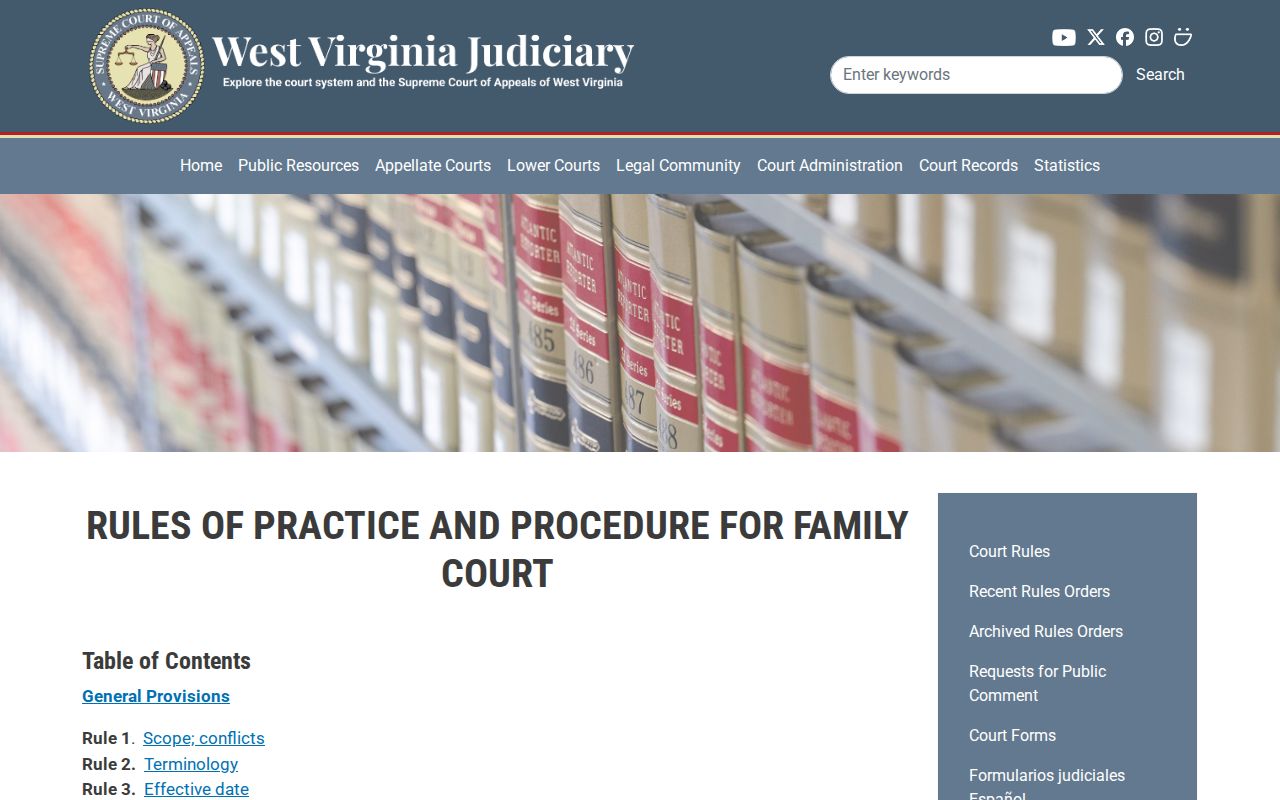 Webster County civil docket Family Court record access rules